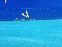 DRZWI PRZÓD LEWE KIEROWCY Skoda Fabia II 5d niebieski 4590