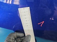 Drzwi przód lewe Ford Mondeo Mk5 5d niebieski LD