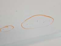 DRZWI PRZÓD PRAWE PASAŻERA Fiat Ducato IV 5d 549