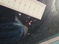 DRZWI PRZÓD PRAWE PASAŻERA BMW X5 E53 5d czarny 475/9