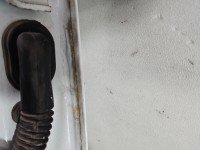 Drzwi tył lewe Toyota Proace I 13-16 HB 5d biały