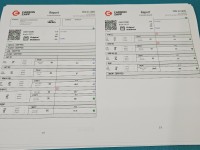 TESTOWANY Wtryskiwacz 0445110280 Renault Scenic II 1.9 dCi 131KM