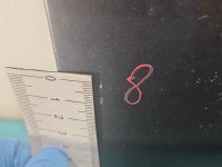 DRZWI PRZÓD PRAWE PASAŻERA Ford Focus Mk1 5d grafitowy