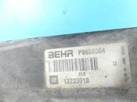 Wentylatory Wentylator chłodnicy Opel Insignia A 2.0 cdti 13223018, P8658004