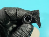 Przesłonka lewa Fiat Croma II DASZEK osłona przeciwsłoneczna