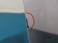 Klapa tył Ford S-max II MK2 HB 5d biały 5F Klapa tył Ford S-max II MK2 HB 5d biały 5F