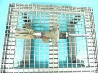 Amortyzator przód lewy przedni Chevrolet Captiva