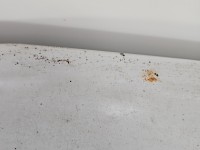 Maska przednia Opel Movano II