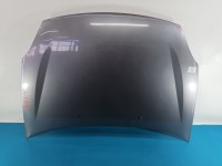 Maska przednia Renault Thalia II TEKNG