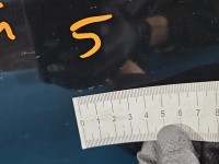 DRZWI PRZÓD PRAWE PASAŻERA Vw Passat B7 5d LC9X