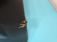 Zderzak przód Fiat Panda II