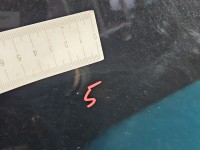 Drzwi tył prawe Suzuki Swift Mk7 HB 5d ZCE