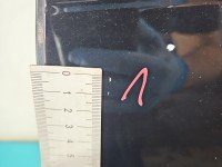 DRZWI PRZÓD LEWE KIEROWCY Audi A6 C6 4d czarny LZ9Y