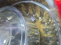 Lampa tył lewa Vw Passat B6 kombi Przytopiona w środku Wypalony odbłyśnik / kombi EUROPA