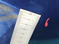 DRZWI PRZÓD PRAWE PASAŻERA Dacia Sandero II 12-20 5d granatowy TERPK