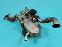 Chłodnica spalin Renault Megane III 8200804050 1.9 dci