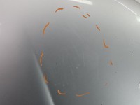 Maska przednia Nissan Primera P11 srebrny KLD