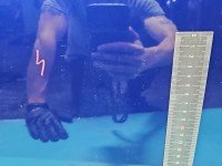 DRZWI PRZÓD PRAWE PASAŻERA Ford Focus Mk3 5d granatowy 1D