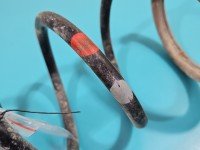 Sprężyna przód przednia Dacia Duster I 10-18 1.6 16v