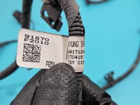 Wiązka instalacja Hyundai, pasa przedniego Hyundai Elantra VI 15-20 91870-F2010