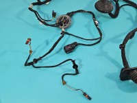 Instalacja Wiązka drzwi przód lewych Audi A4 B9 8W097029AN