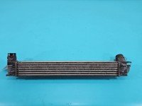 Intercooler Renault Megane III 1.5 dci (K9KJ836)