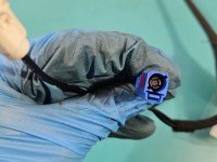 Antena Peugeot 2008 I 9801610880 biały KWE