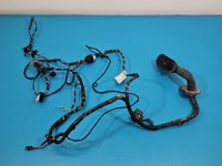 Instalacja Wiązka drzwi przód lewych BMW X6 E71 924207001, 9169242