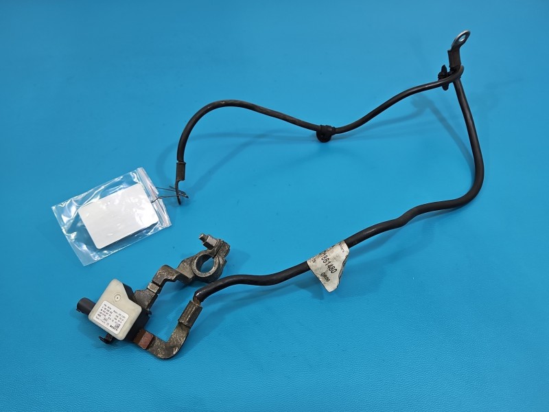 KLEMA INSTALACJA WIĄZKA MINUSOWA MINUS CITROEN DS3 10-16 9666566780, 0199000032