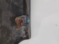 Błotnik przód lewy Bmw e39 310/7