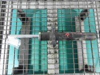 Amortyzator przód prawy przedni Vw Scirocco III 08-