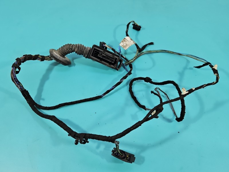 Instalacja Wiązka drzwi przód prawych bmw F30 9286209, 9286238