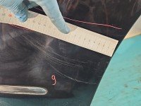 Błotnik przód prawy Mercedes W221 czarny c197