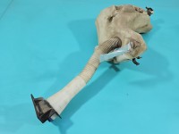 Zbiornik Zbiorniczek płynu spryskiwacza Peugeot 307