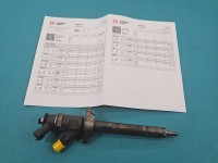 Wtryskiwacz Citroen C4 Grand picasso I 06-13 0445110297 1.6 HDi