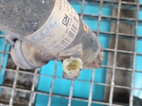 Amortyzator tył lewy Opel Insignia A kombi tylny