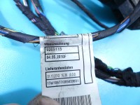 Instalacja Wiązka drzwi tył prawych BMW X5 E70 9243551
