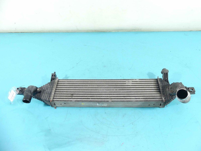 Intercooler Nissan Qashqai I J10 06-13 Y8396005, 14461-BB50B 1.6 dci