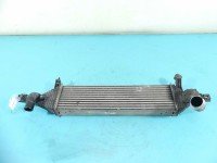 Intercooler Nissan Qashqai I J10 06-13 Y8396005, 14461-BB50B 1.6 dci