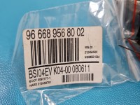 Sterownik moduł Citroen C5 II X7 9666895680