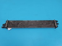 Chłodnica wody Renault Master III 10-24 2.3 DCI