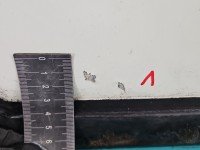 DRZWI PRZÓD PRAWE PASAŻERA Johnston c40 zamiatarka 5d