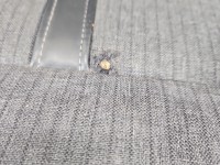 Fotel lewy przód kierowcy Peugeot 508 II 18- EU 5d