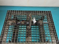 Amortyzator przód prawy przedni Hyundai Santa Fe II 06-12