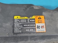 Atrapa grill Ford Focus Mk2