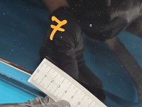 DRZWI PRZÓD PRAWE PASAŻERA Vw Passat B7 5d LC9X