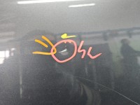 Drzwi tył prawe Skoda Superb II HB 5d LF8J