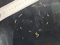 Maska przednia Opel Astra V K GB9 22Y