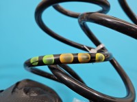 Sprężyny tył komplet Vw Up! HB