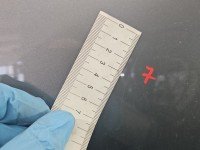 DRZWI PRZÓD PRAWE PASAŻERA Ford Ranger IV 98-11 5d Titanium Grey